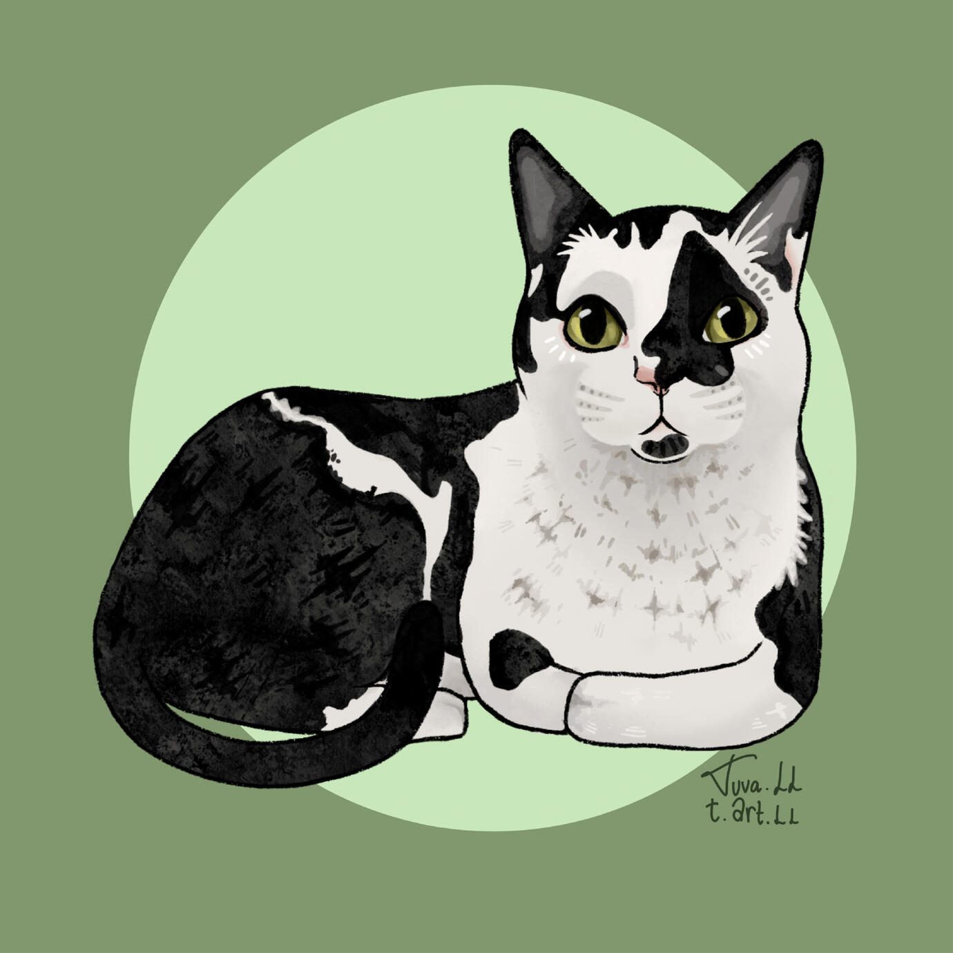 Funky cat 5 Digital