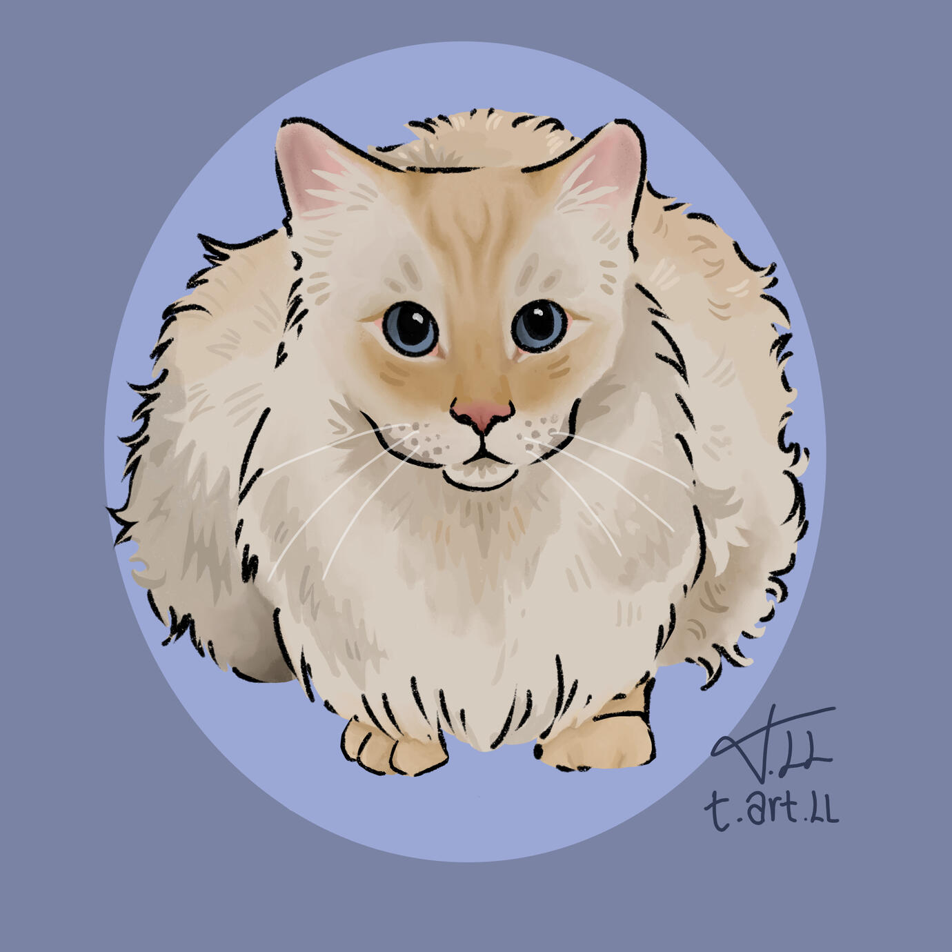Funky cat 4 Digital