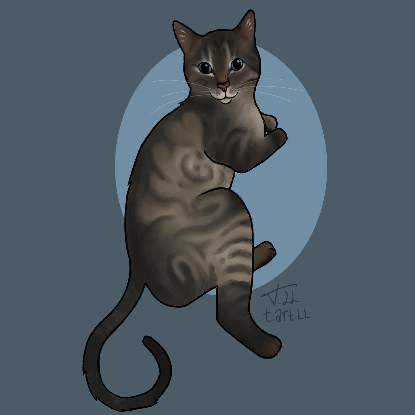 Funky cat 6 Digital